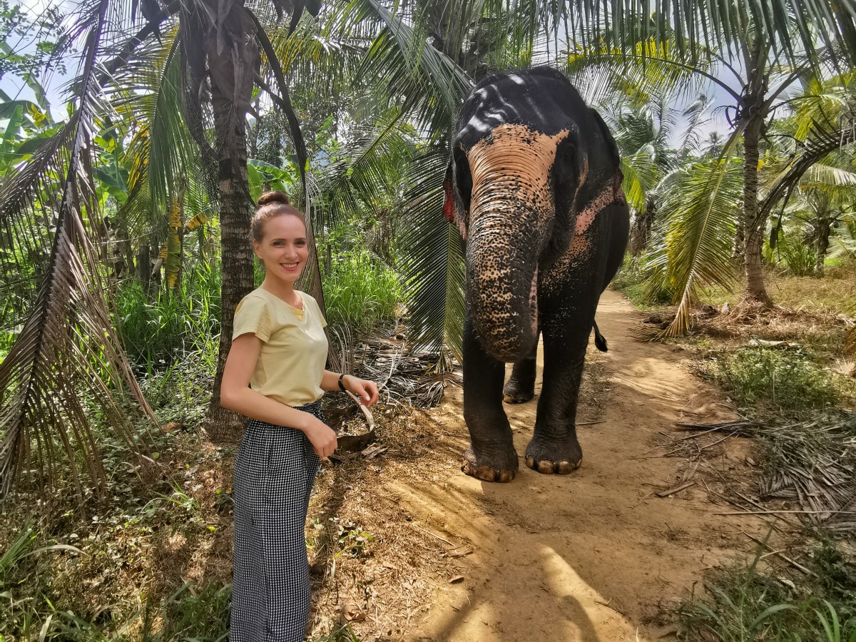 A Two-Day Adventure in Colombo, Sri&nbsp;Lanka